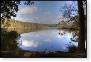 Oisterwijkse Bossen en Vennen Kampina natuurgebied natuur oisterwijk Nationaal park Landschap Het Groene Woud hei heide bossen natuurmonumenten brabant baronie boswachterij dorst